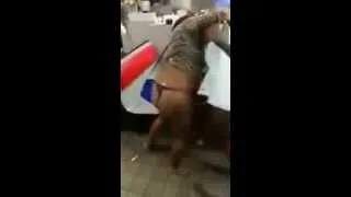 Girl fight! Женские драки! Жми!