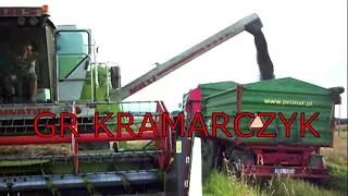 ŻNIWA RZEPAKU 2020 / GR KRAMARCZYK / CLAAS DOMINATOR 108 SL MAXI / 2 x JOHN DEERE / 2 x PRONAR