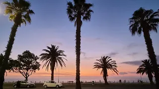 Sunset Walk With Palm Trees!