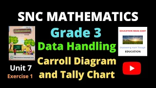 Data Handling | Carroll Diagram | Tally Chart | Exercise 1 | SNC Math Lessons Grade 3 |