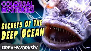 What’s Hidden Beneath the Ocean? | COLOSSAL MYSTERIES