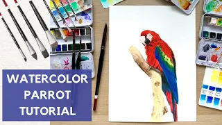 Macaw Parrot Watercolor Painting Tutorial | easy watercolor tutorial of a macaw parrot