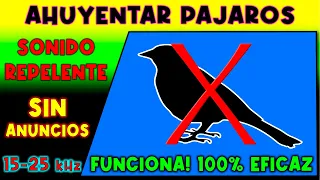 SONIDO PARA AHUYENTAR PAJAROS 🚫🐦 REPELENTE DE PAJAROS