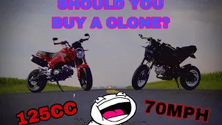 Should you get a Grom Clone?