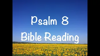 Psalm 8 - NIV Version (Bible Reading with Scripture/Words)