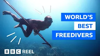 The tribe that evolved to stay underwater longer – BBC REEL