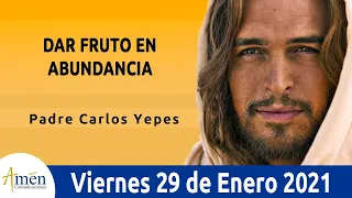 Evangelio De Hoy Viernes 29 Enero 2021 Marcos 4,26-34 l Padre Carlos Yepes