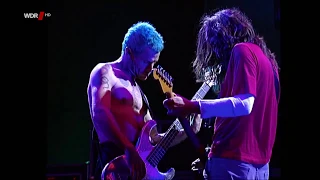 Red Hot Chili Peppers - Under The Bridge | Bizarre Festival 1999