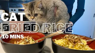 DELICIOUS Egg Fried Rice with Cat - ONLY 10 MINS!! | 10分でできる簡単炒飯！