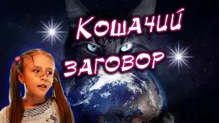 Коты всё врут или разоблачение хвостатых обманщиков