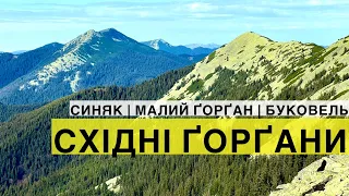 Гора Синяк, гора Малий Горган, Довбушанка, Буковель 🍁 Осінній похід в Карпати!