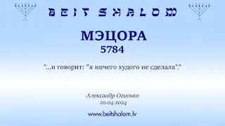 МЭЦОРА 5784. "...и говорит: "я ничего худого не сделала"."