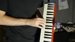 Gran Turismo 4 - Light Velocity Solo Transcription (Melodica)