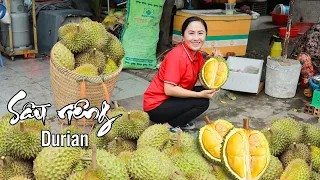 Harvesting DURIANS - goes to the market sell, cooking yummy dishes | Emma DaiLy Life