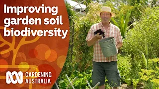 How to increase the biodiversity in your garden soil | Gardening 101 | Gardening Australia