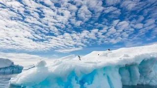 Scientists warn ocean circulation around Antarctica may head for 'full collapse'