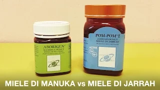 Confronto Miele di Manuka e Miele di Jarrah: proprietà da sapere e frodi da evitare