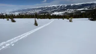 Jelly Roll, The Cirque at Winter Park. Powder run through the trees