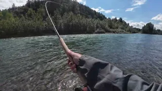 Last Day Steelhead Season Flyfishing 2024 on the Vedder River