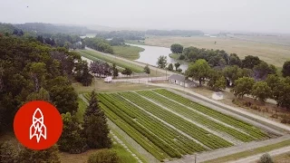 The Forest Farmer | That's Amazing