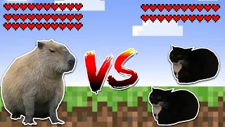 Capybara vs two Maxwell cats! Meme battle