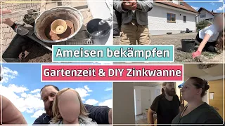 Familienalltag: Ameisen bekämpfen, Gartenzeit & DIY Zinkwanne | Hochbeet Update l Big Mary