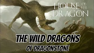 The Wild Dragon Full Adventure Hindi Dubbed Movie I New Hollywood Superhit Chines Action Film