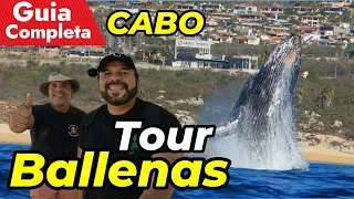 🟥EL MEJOR TOUR a las BALLENAS ❤️CABO SAN LUCAS Que Incluye Recorrido  🔴Contacto 😍 Tips