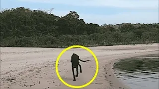 Проплывая мимо необитаемого острова, мужчина увидел умирающую собаку…