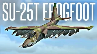 MY FIRST LOW LEVEL AIRSTRIKE MISSION! - DCS SU-25T Frogfoot feat. Ralfidude