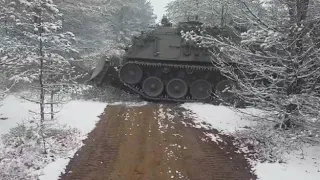 Pionier Panzer in the woods