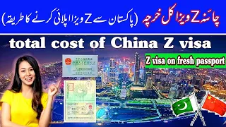 Total cost of China Z visa,