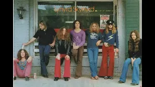 LYNYRD SKYNYRD  -  AM I LOSIN'   - U. S.  HARD ROCK  - 1975