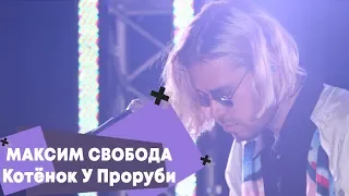 Максим Свобода - Котенок у проруби (LIVE: Брать живьём на о2тв)