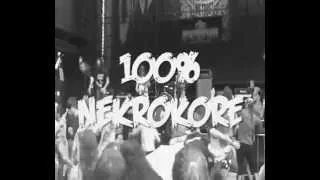 KADAVERFICKER - Nekrokore is Love CD Teaser Trailer