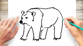 How to Draw Grizzly Bear Step by Step for Kids Easy