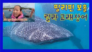 [아린튜브]6살 아린이_보홀의 릴라 고래상어 투어 대성공!! 쾌적한 고래상어투어는 바로 여기!