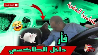 طاكسي فيه فار..كاميرا خفية.