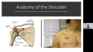 Top Shoulder Problems You See in the Office - Brian Feeley, MD
