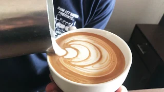 Tulip (Latteart)