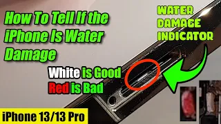 iPhone 13/13 Pro: Water Damage Indicator - How To See If Your iPhone Is Water Damaged