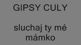 Gipsy Culy 2010