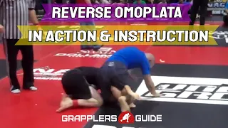 BJJ Reverse Omoplata in Action and Instructional Breakdown - Jason Scully