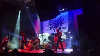 Signs of the Swarm - Amongst the Low & Empty (First time played live!) (Atlanta, GA, 4-14-23)