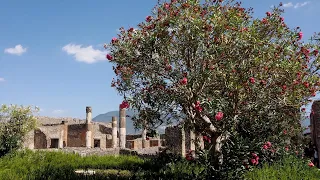 Pompéi - Tour très rapide du Site, témoin exceptionnel de la vie quotidienne à l'époque romaine