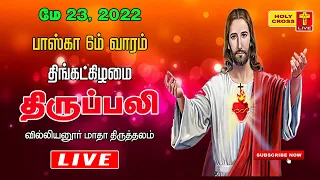 23 May 2022 Tamil Mass | Villianur Lourdes Shrine | Holy Cross Tv | Daily Tv Mass | Today Tv Mass