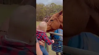 Тимофей не боится лошадок :)