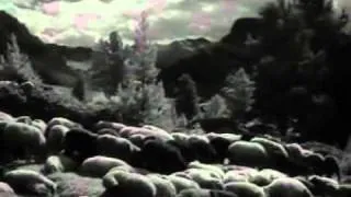 Tiefland (1954) - Fighting the wolf