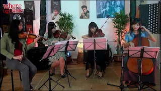 Amethyst String Quartet with “Tribute to Avicii” by Avicii (Cover)