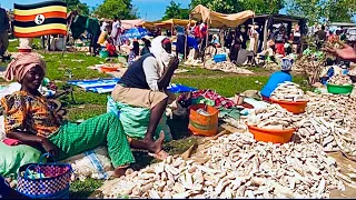 Rural African Market Day in Bukedea Village | Cost of Living in Uganda 2024 | African village life